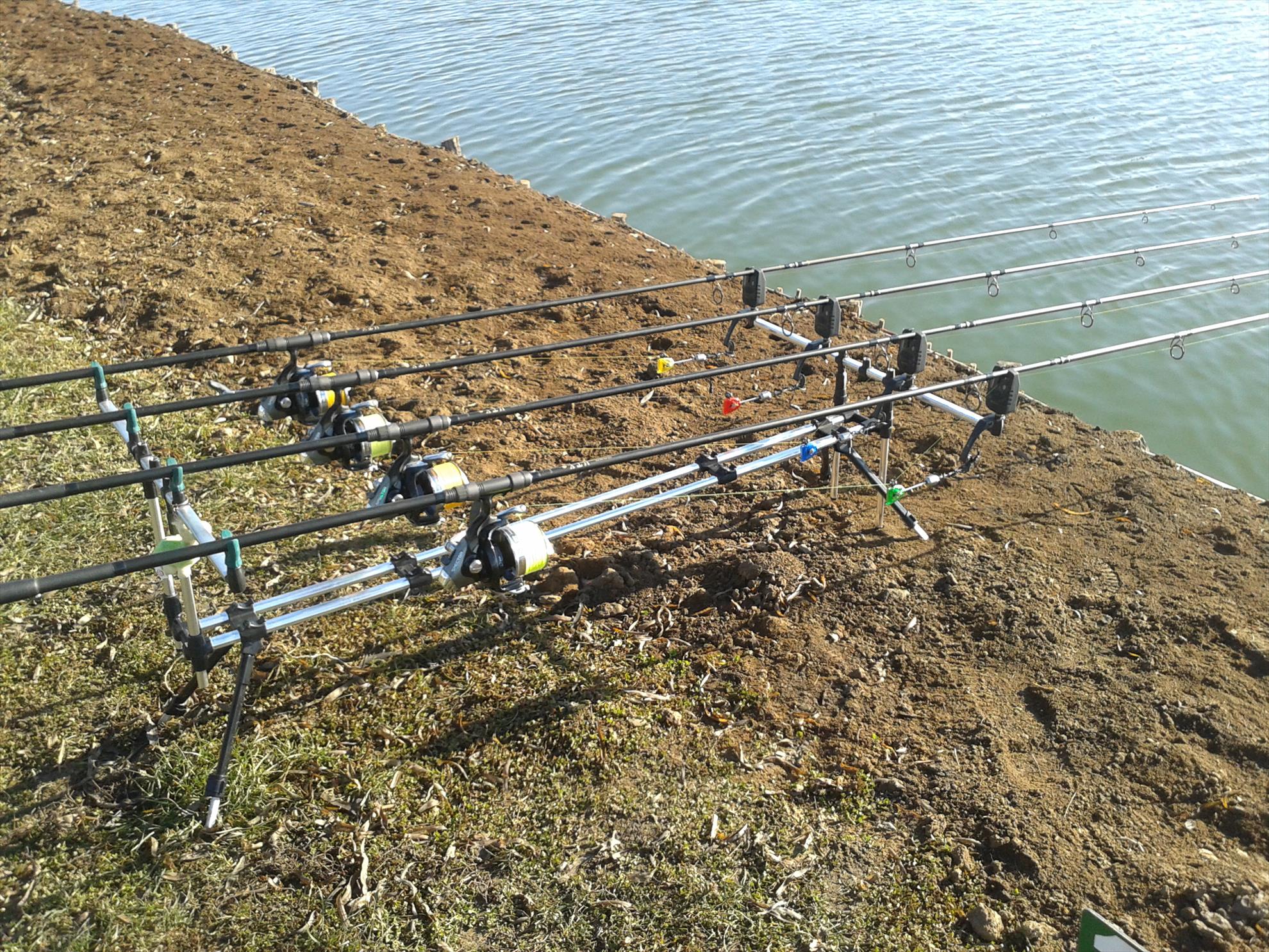 Florea Popestiului 11.01.2014 - 20140111110006.jpg